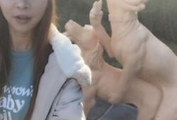 韩国直播美味性爱,引发社会热议