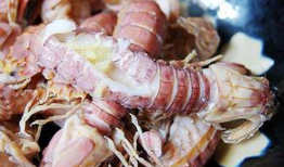 皮皮虾视频,趣味横生，轻松一刻