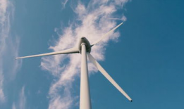 随风视频,揭秘随风视频的魅力与影响力